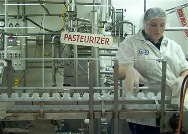 Small Scale Yogurt Processing Equipment , Small Milk Processing Unit ISO Approved