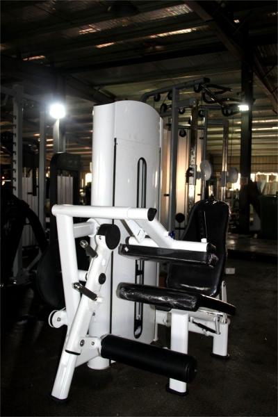 Commercial Gym Equipment Pin Loaded 2 in 1 Adjustable Seated Leg Extension Leg Curl Machine