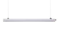 Tri lumière imperméable très efficace de preuve de LED Ip65 Ik08 pour industriel et extérieur