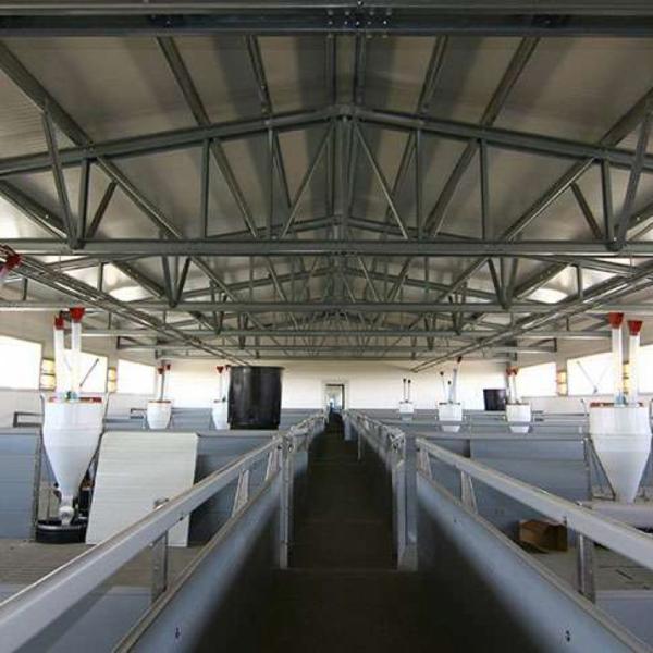 Armazém avançado de estrutura de aço de estilo industrial para fazenda de frangos de corte