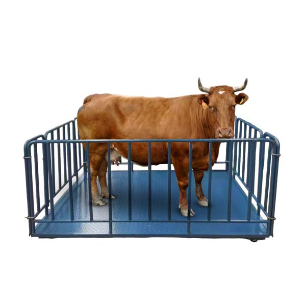 Balances de pesage pour bétail de 1 tonne avec affichage numérique LED et cage, performances stables, balance industrielle robuste pour sol