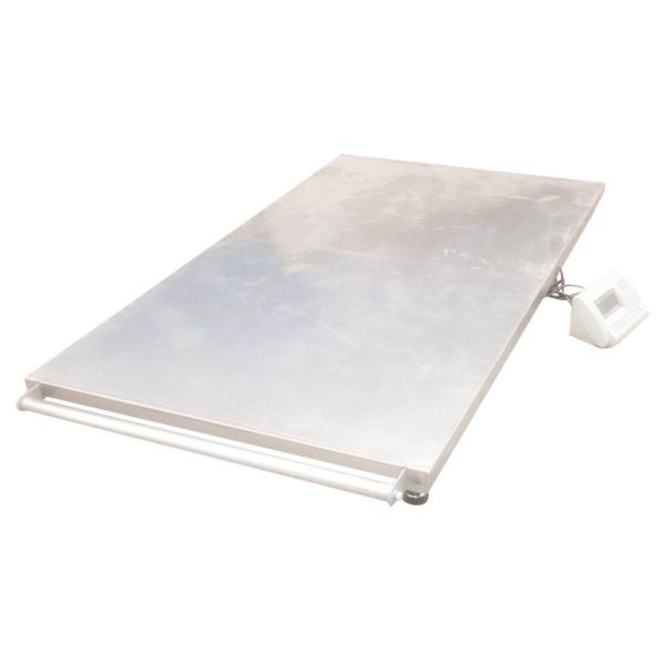 balances de cheval électronique de l'acier au carbone 2t de 2.2x1.1m