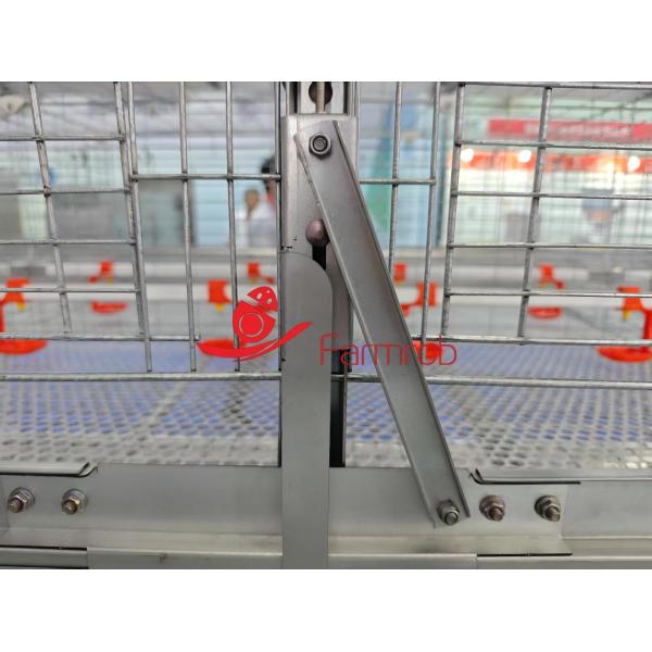 327 Cm2 Sistema de jaula de aves de corral de 6 niveles seguro Al-Zn-Mg para pollos pequeños 1800x600x450mm Dimensiones