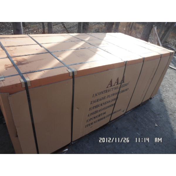  combi film faced plywood with WBP glue