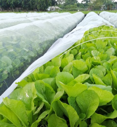 White 50 Mesh 5m Insect Screen For Greenhouse Anti mosquito screen