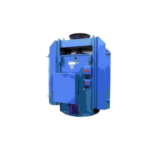 High Voltage Induction Motors