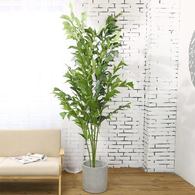 Palma Fishtail artificial em pasta das plantas 150CM para a decoração do Office Home dos shopping
