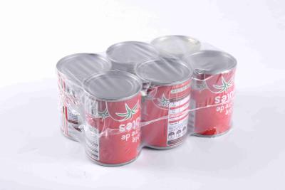 Canned Tomato Concentrate A Must-Have for Your Business
