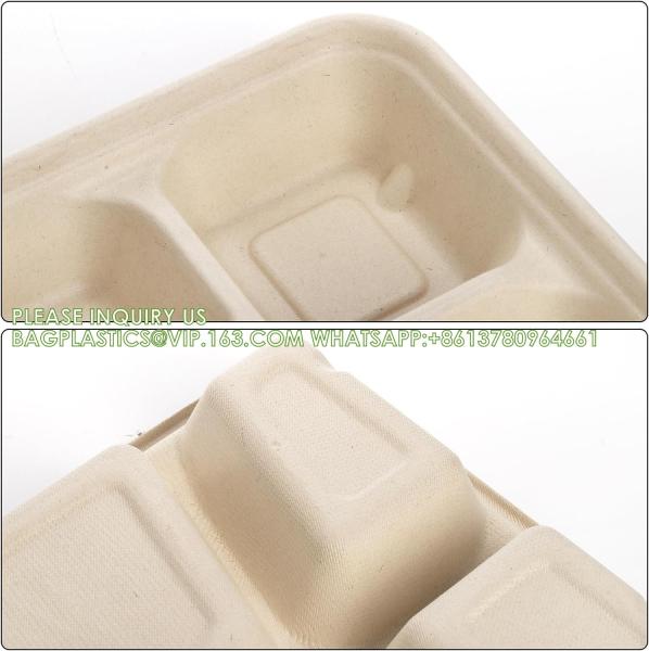 5 Compartment Snack Food Tray Sugarcane Bagasse Plate Disposable Plates Eco-Friendly White Natural Bagasse Plates