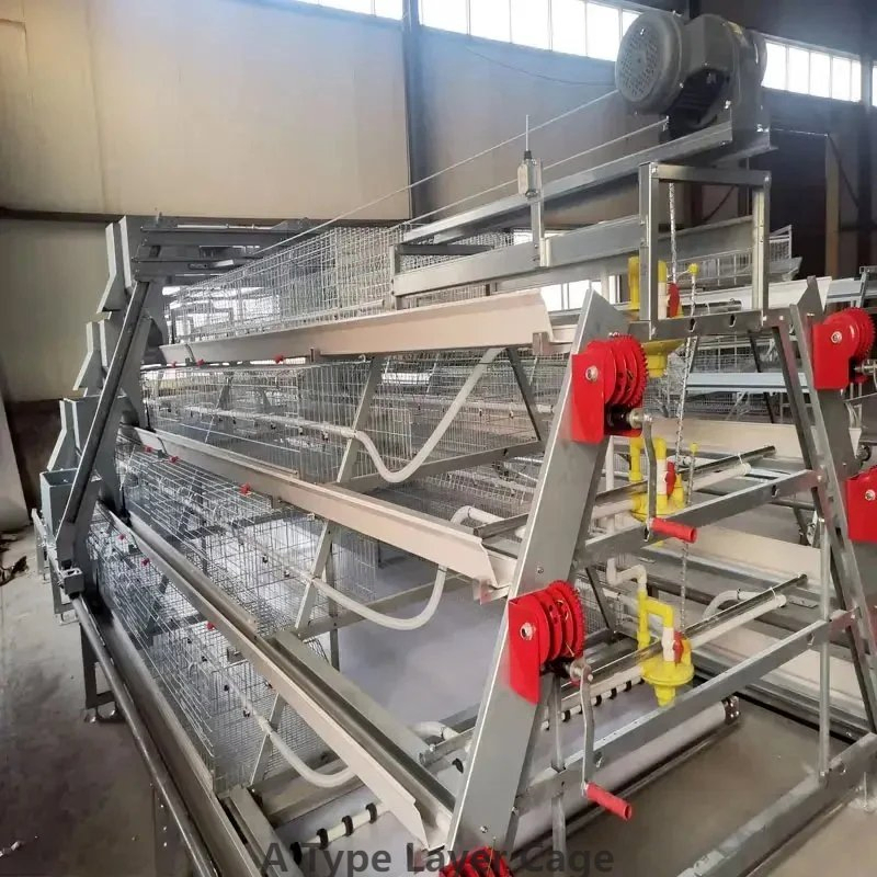 Heavy Duty A Type Layer Cage Space Utilization Steel Frame Battery Layer Cage