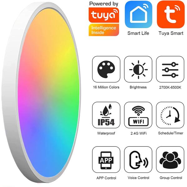 24w Tuya Smart Ceiling Light Colorful Rgb Remote Control Led Modern Music