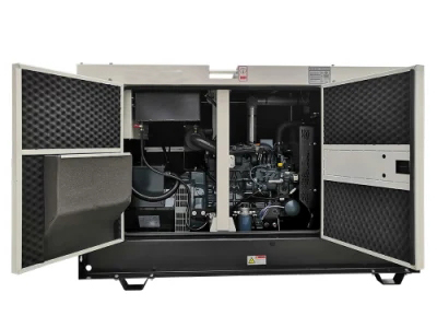 генератор метана биомассы лэндфилл-газа 30kw 37.5kVA Revo для сельскохозяйственной продукции