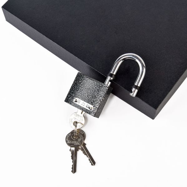Rarlux 50mm Lock High Quality Safety Sample Available Padlocks Waterproof Iron Padlock