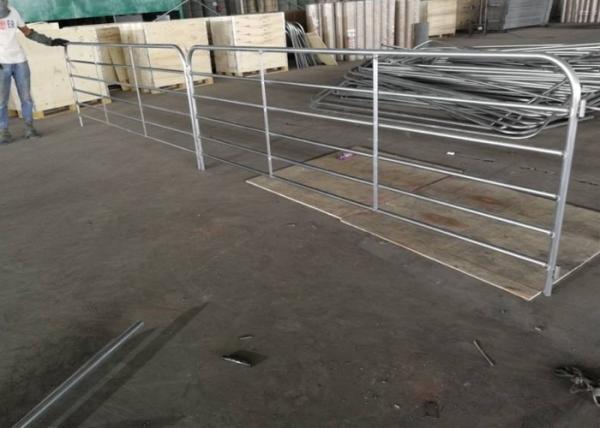 Corrosion Resistant Cattle Panel Fencing，Hot Dipped Galvanized Cattle Fence