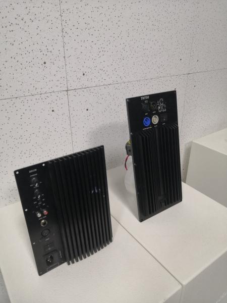 Amplifier module mono channel for active loudspeaker speaker amplifier board OEM order welcome