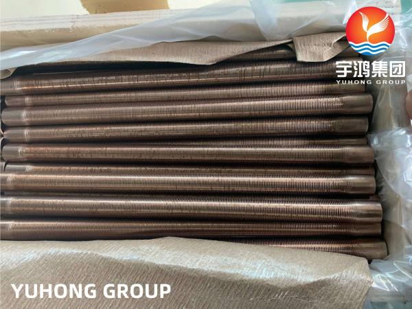 ASTM B111 C70600-O61 Copper Nickel Single Steel Low Finned Tube