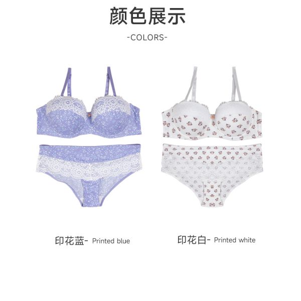 Women Lingerie Set Printed Flowers S-XL America Size High Quality New Come Lingerie Wholesale Set Matching Set for Women