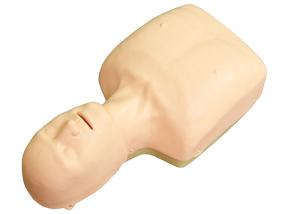 Simple Cardiopulmonary Resuscitation Simulated Manikin For Training