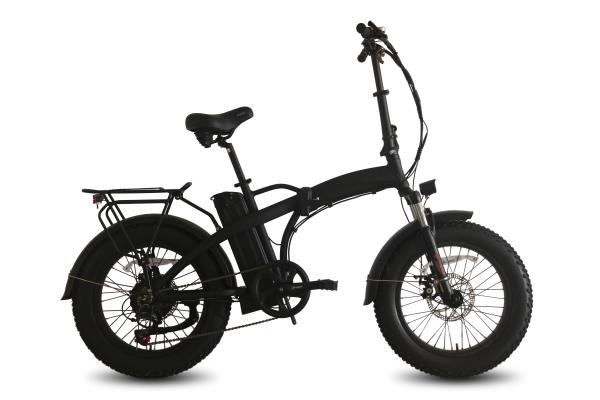 20inch Lightweight Electric Folding Bike 36V 350W Rear GEAR Motor With Pedals