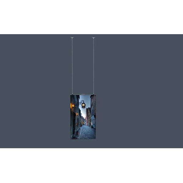 55-inch Customized Multimedia Smart Advertising Display Screen Outdoor Hanging Advertising Machine