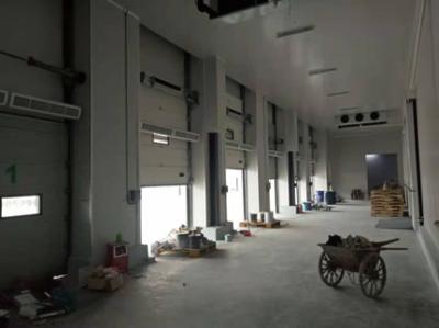 Polyurethane Isolamento térmico Comercial Portas seccionais de aço Industriais Personalizadas