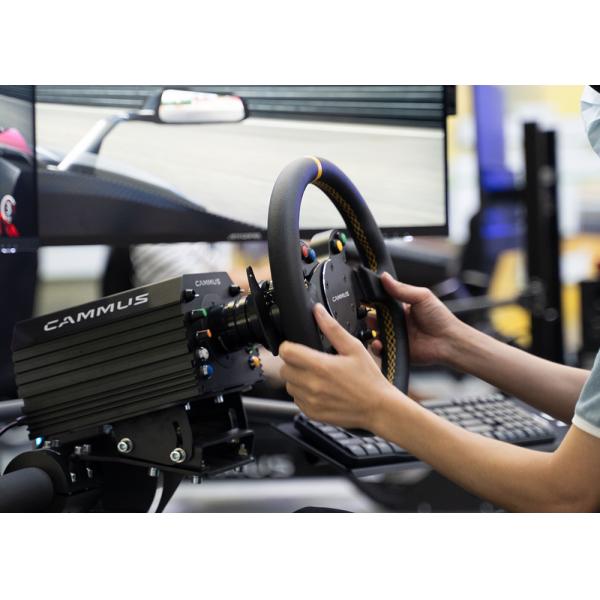 Servo Motor 180 Steering F1 Game Online Simulator