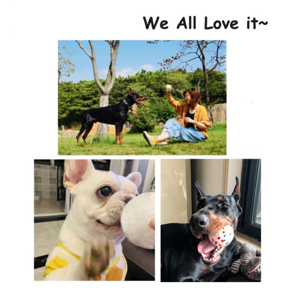 Dog Chew Toy ETPU Solid Ball Interactive   for Pet Toys and  Accessories