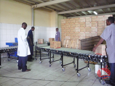 Flexible Motorized Stainless Steel Roller Conveyor,Flexible Roller Conveyor