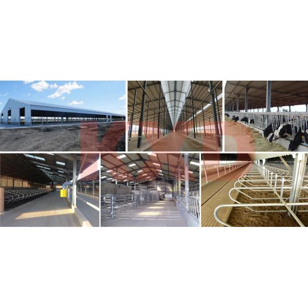 S355jr Q355b Material Prefabricated Steel High Grade Painting Structural Industrial Warehouse Plants