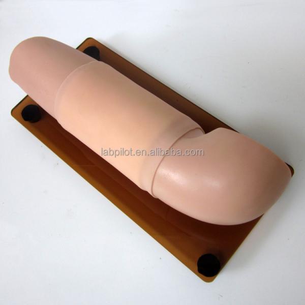 Advanced Nursing Training Function Subcutaneous Embedded Contraceptive Training Arm Model
