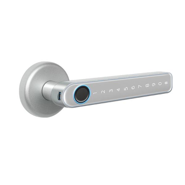 TUYA Bluetooth Smart Handle Door Lock Anti Corrosion Fingerprint Handle Lock
