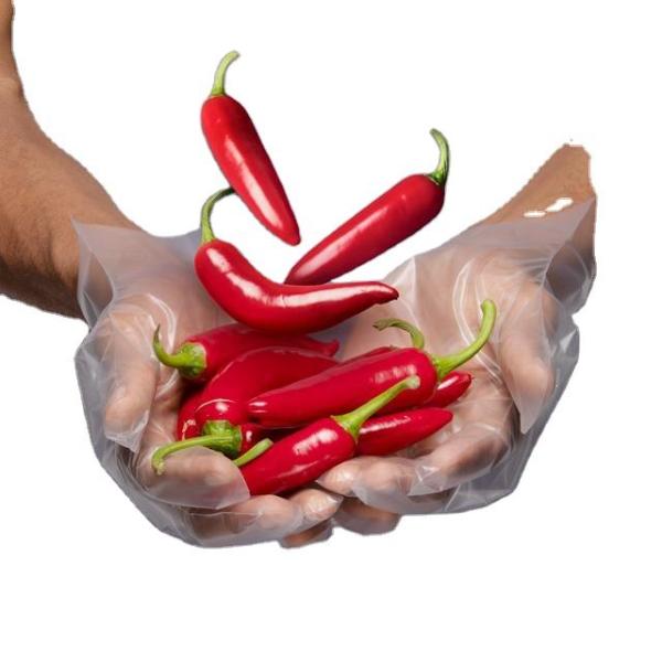 Disposable HDPE PE Gloves Polythene Gloves with Embossed Smooth Surface High Tensile Resistance  Disposable Plastic HDPE Glove Cooking Gloves