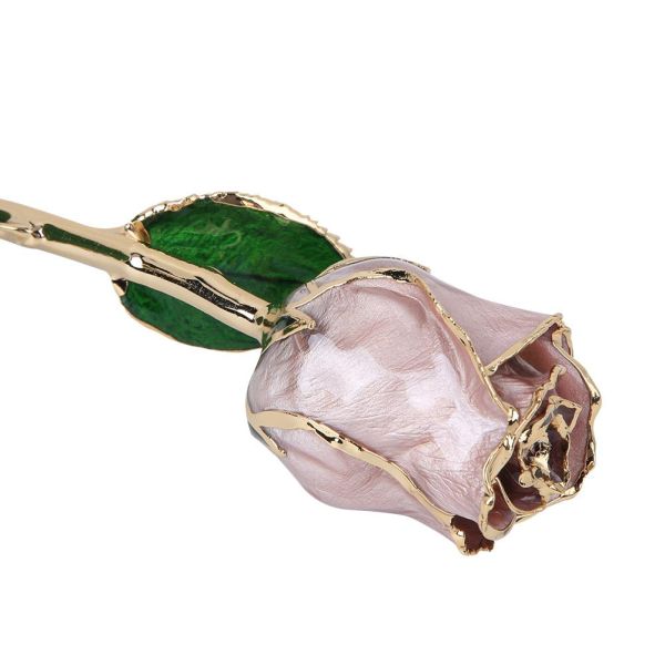 Factory Directly Supply 24k Gold Rose  Wholesale of Golden Rose Valentine's Day, Christmas, Mother's Day Gift Manufacturers