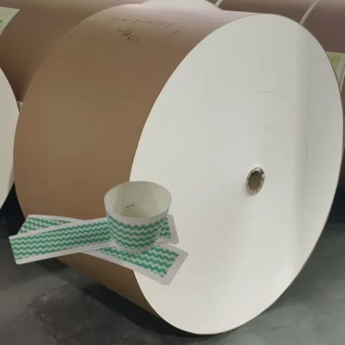 2oz 4oz 6oz 8oz 10oz Customized Large Paper Cup Roll Raw Materials PLA Coated Paper Roll