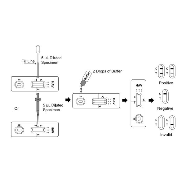 One Step Infectious Disease Blood Tests , Hepatitis A Test Kit Reliable Result