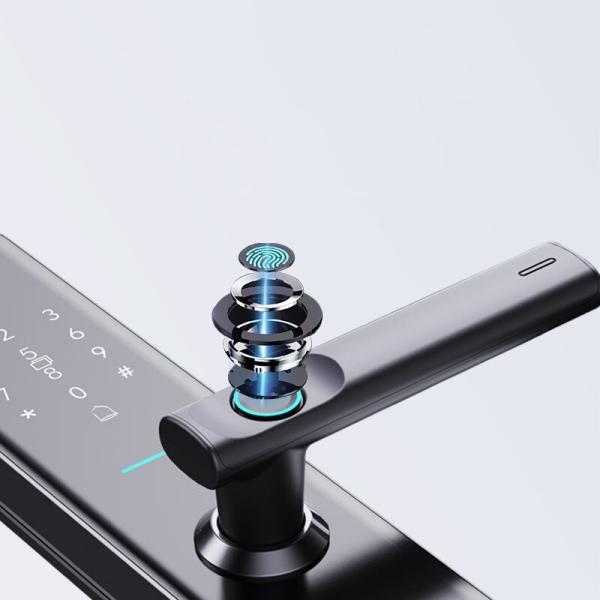 Antitheft Smart Fingerprint Door Lock Biometric Outdoor Gate Lock Face Recognition