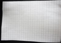 Aiguille industrielle de polyester de la poussière sentie filtrer l'anti tissu statique de filtre à air