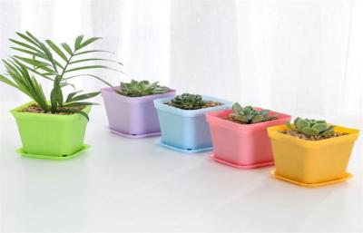 Potenciômetros de flor redondos não frágeis vegetais da resina dos PP do jardim 9x6x8cm
