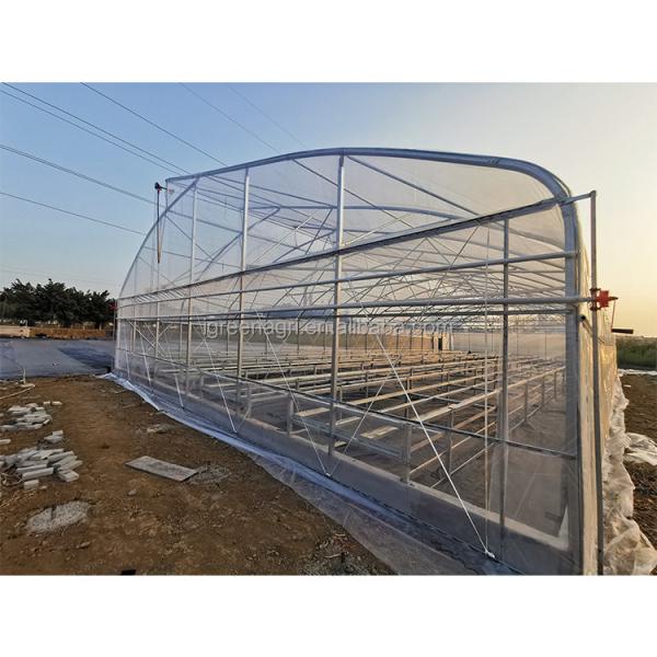 Film Covered Greenhouse Hydroponics System Agricultural DWC Hydroponics System