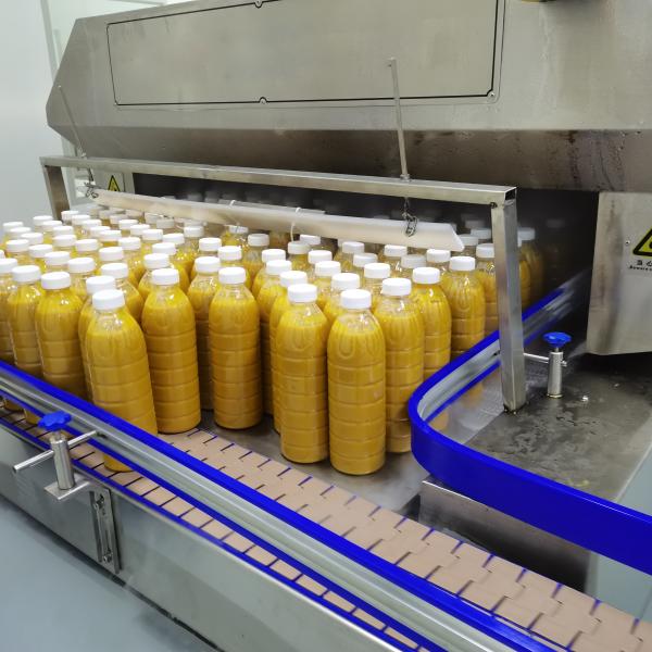 SUS304/SUS316 Mango Processing Line with 1 t/h-20 t/h Capacity and Turnkey Solution