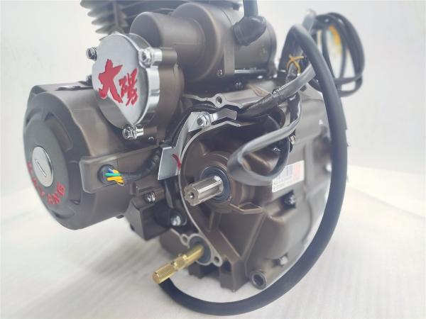 Steel Air Cooling CG200 DAYANG Motorcycle Tricycle Engine Assembly 198ml Electric/kick Method Origin