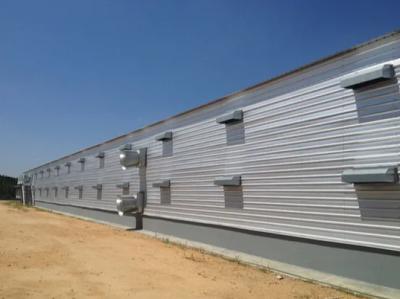 Prefabricated Steel Structure Thermostatic Hot DIP Galvanized Steel Poultry Chicken House