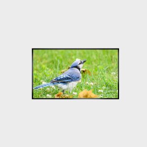 Écran LCD haute luminosité de 43 pouces LCMA-RX0430GB07-Z250 avec résolution 1920*1080 et luminosité de 2500 nits