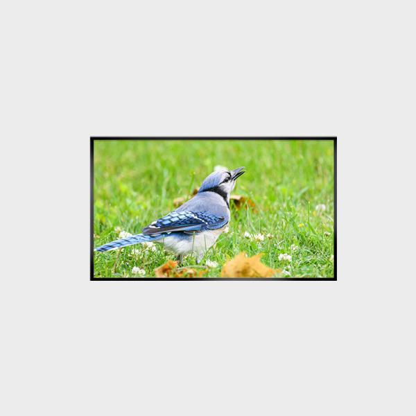 Pantalla LCD de 43 pulgadas de alto brillo LCMA-RX0430GB07-Z250 con resolución 1920*1080 y brillo de 2500 nits