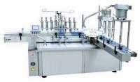 máquina líquida de 100ml E Gorilla Bottle Volumetric Filling Capping para o servo motor do xarope