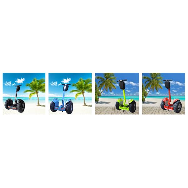 Two Wheel Off Road Segway Self Balancing Scooter CE ROHS FCC Approval