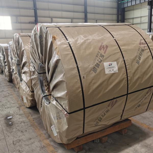 Sheet Roll Aluminum Coil Newest Price Wholesale 3 5 6 series Aluminium Alloy Metal Coil