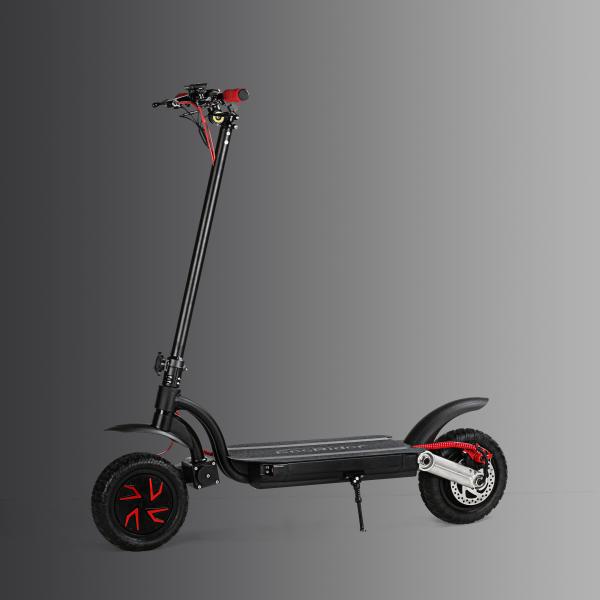 CE Standard 2 Wheel Electric Bike Smart Folding Mobility Scooter 800w Double Brakes