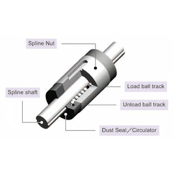 Custom High Transmission Efficiency Ball Spline with High Positioning Accuracy and Strong Load-Bearing Capacity