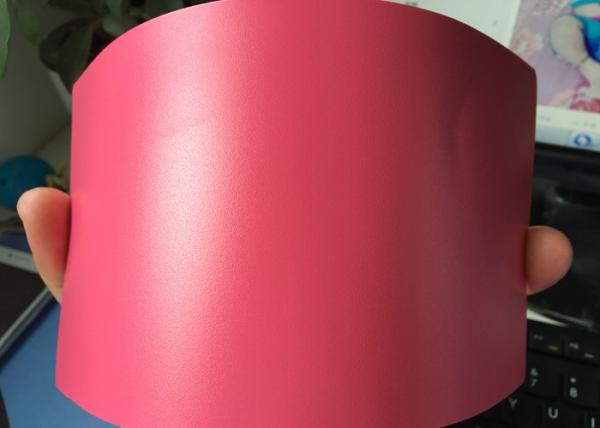 Recursos anti-bacterianos da pintura do pó do poliéster da cola Epoxy que salvar o desempenho exterior alto